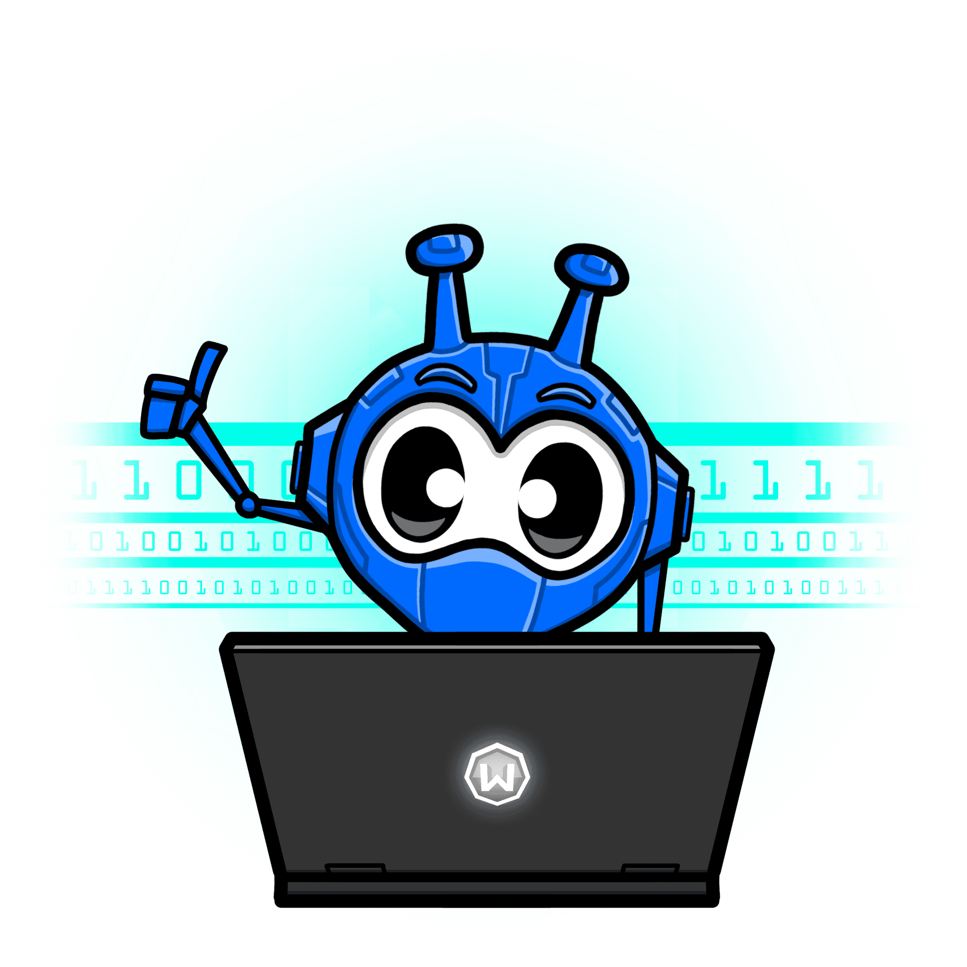 Choose the Right VPN for Online Shopping